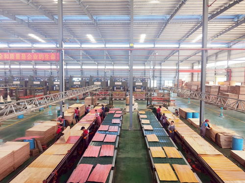 啟陽新材料 勇立潮頭，成為貴港首家獲全國工業產品生產許可證的飼料原料銷售企業